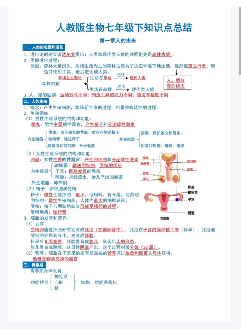 七年级下册生物复习提纲重点难点有哪些?
