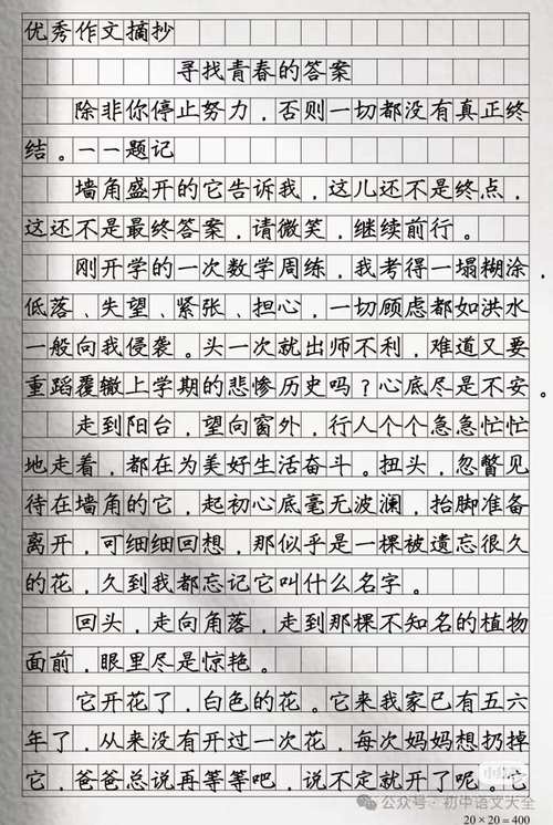 2025年中考满分作文如何炼成？