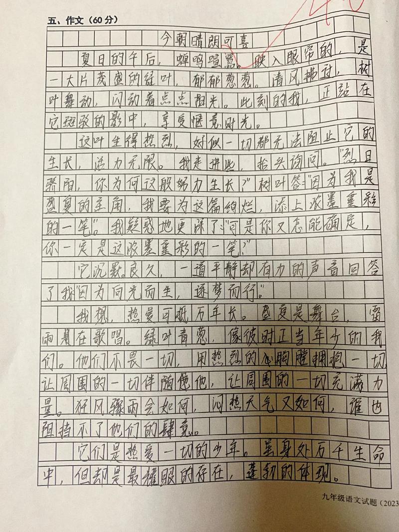 给自己世界一片晴朗作文