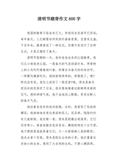 清明节600字作文初中