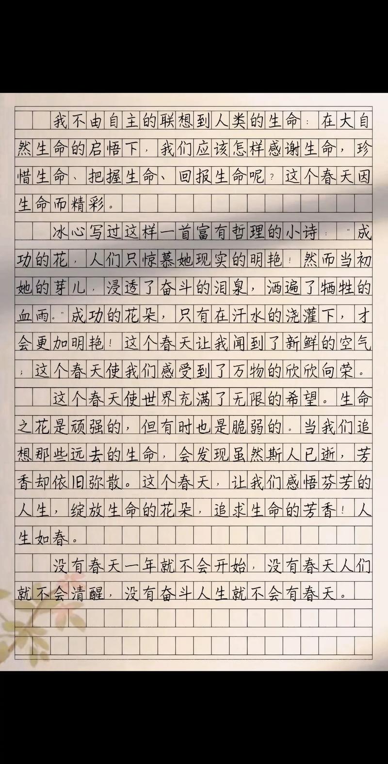 在春光里奔跑为何让人心生向往？