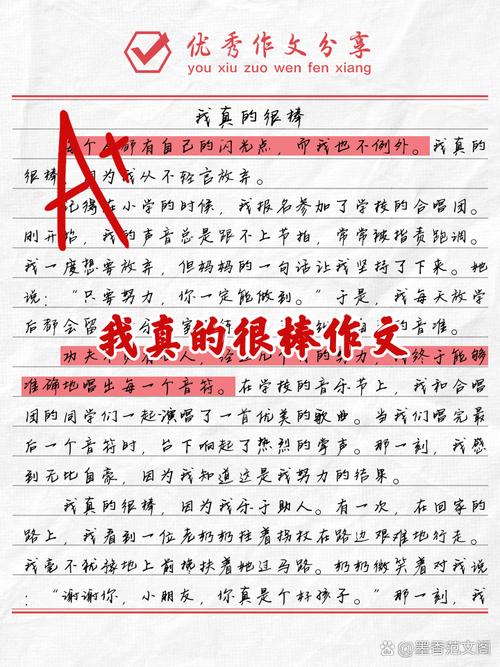 那一次我真的很棒 作文