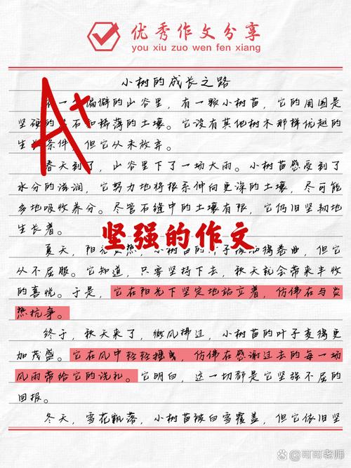 关于关于坚强的作文素材