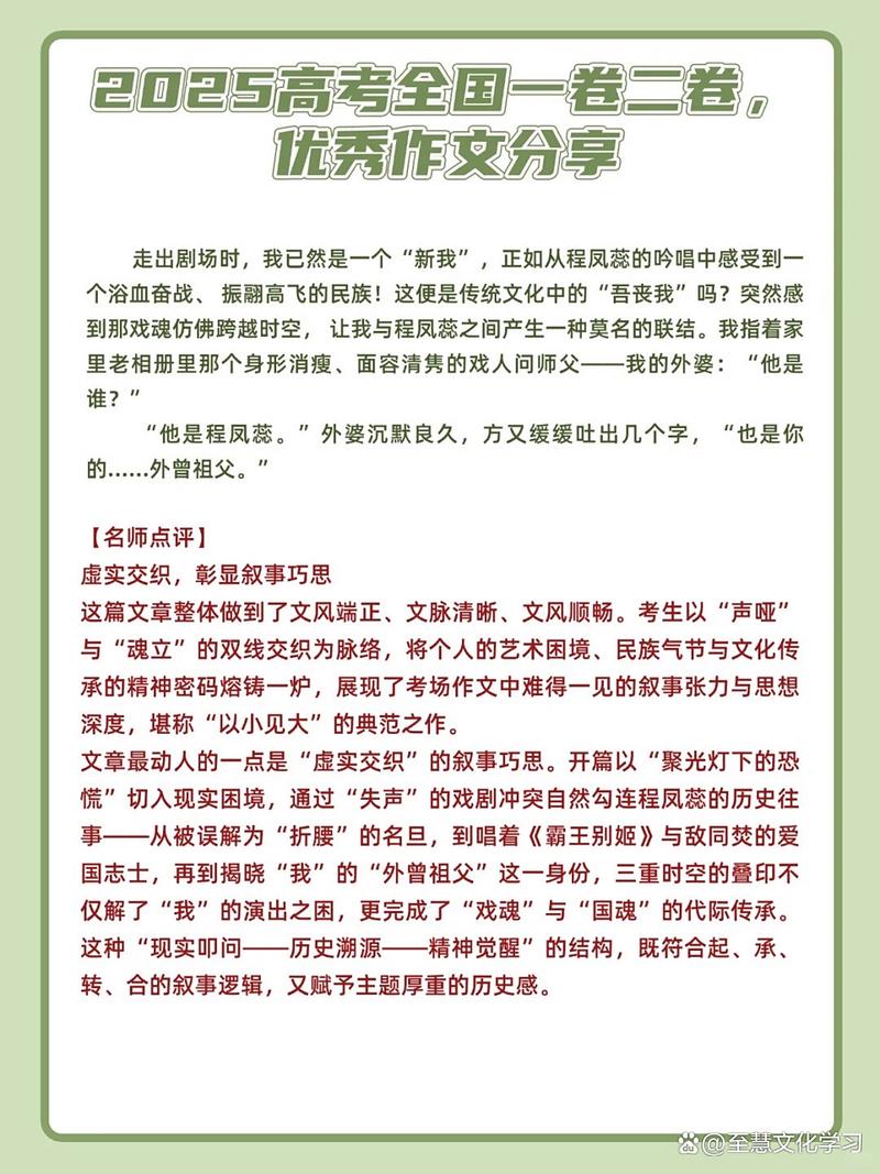 2025全国1满分作文