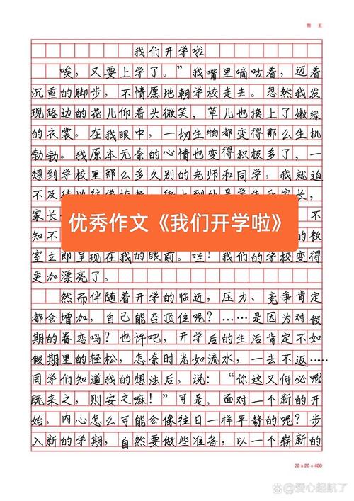 开学了作文800字作文