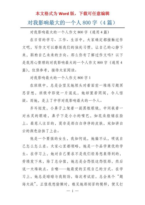 给对我影响最大的人作文
