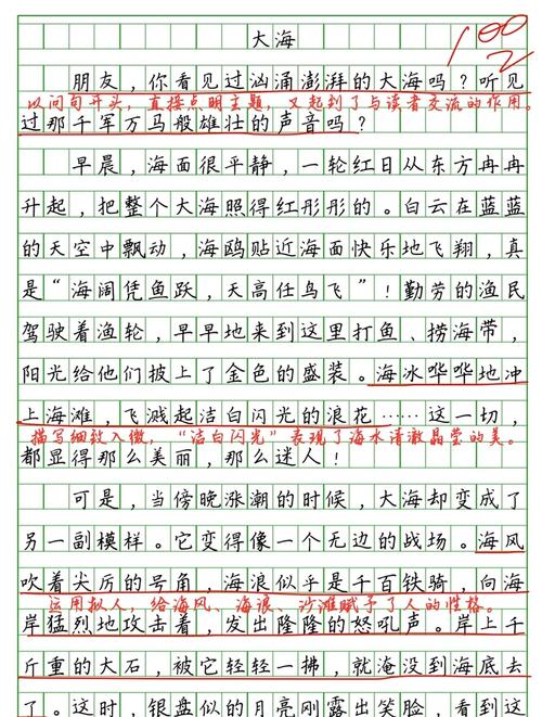 为心中的那片海(作文)