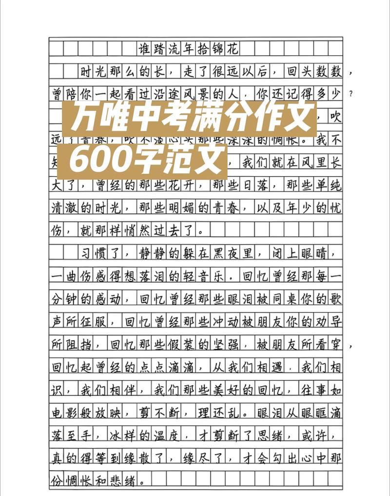 中考600字 作文大全