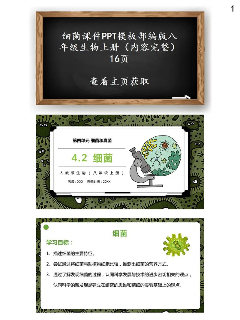 人教版八年级生物上册PPT哪里找？