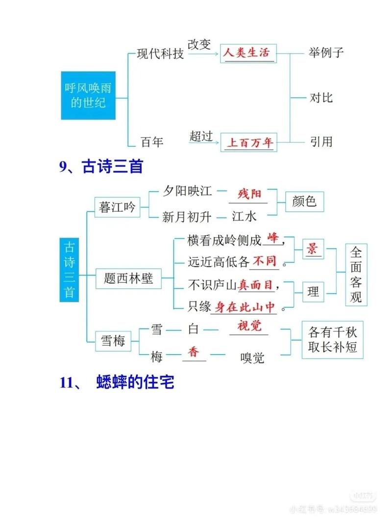 人教版四年级语文上册导学案怎么用？