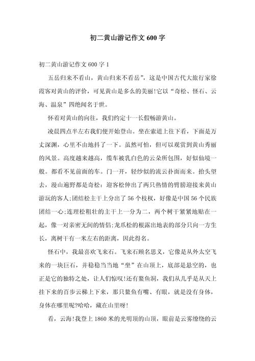 初二的作文大全600字