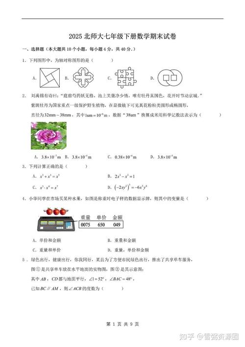 七年级数学期末试题2025