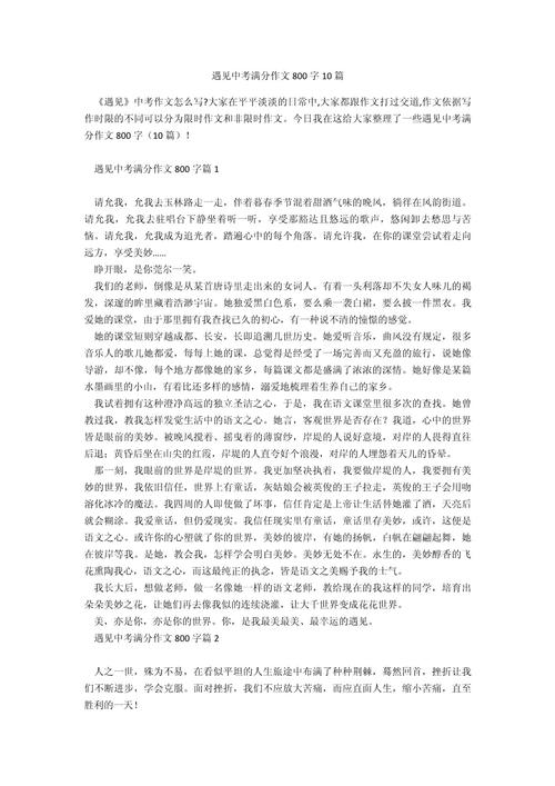 中考满分作文 800字