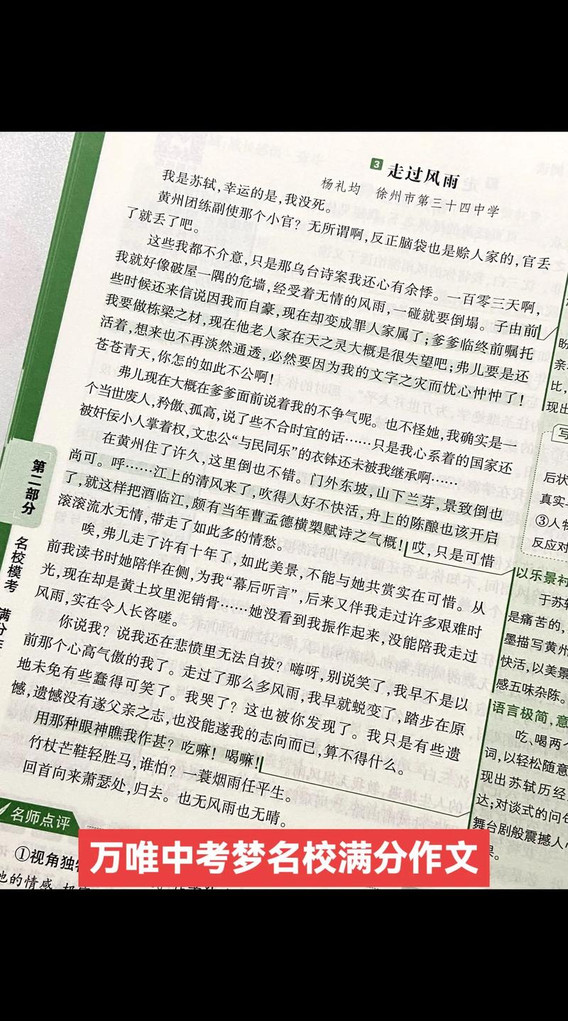 有关书籍的中考满分作文