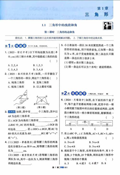 苏教版八年级上册数学书答案