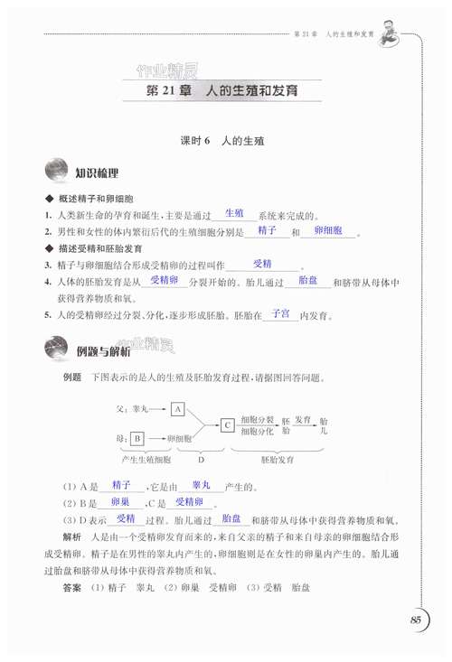 八年级上册生物同步练习答案哪里找？