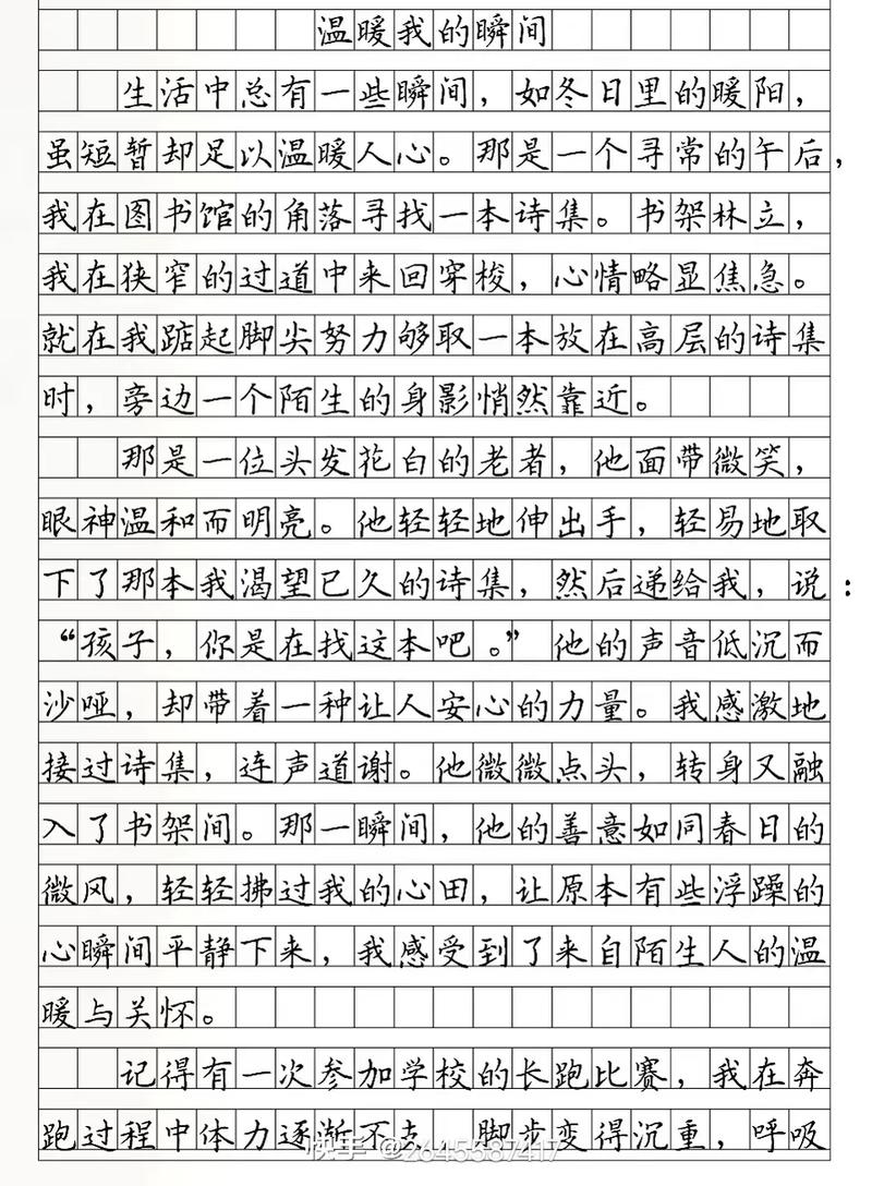 关于温暖的中考满分作文