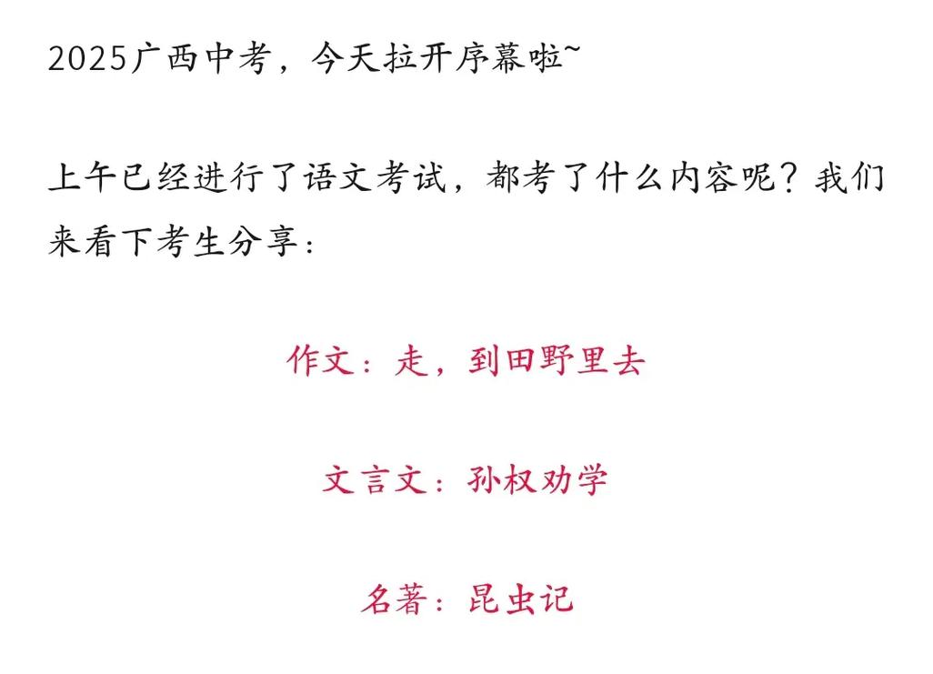 2025年广西中考作文