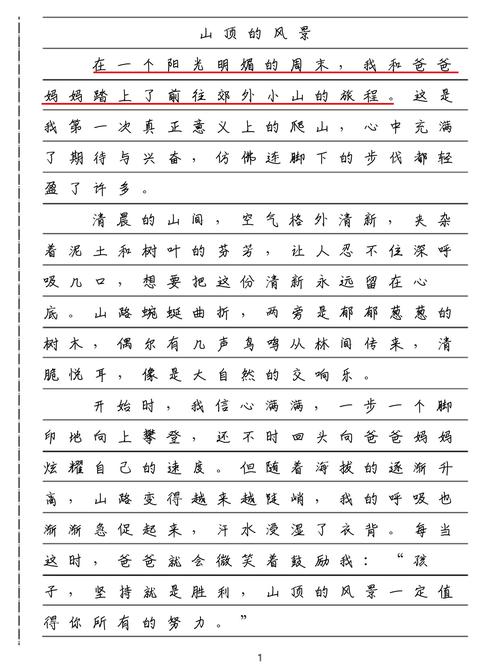 人生如登山作文600字