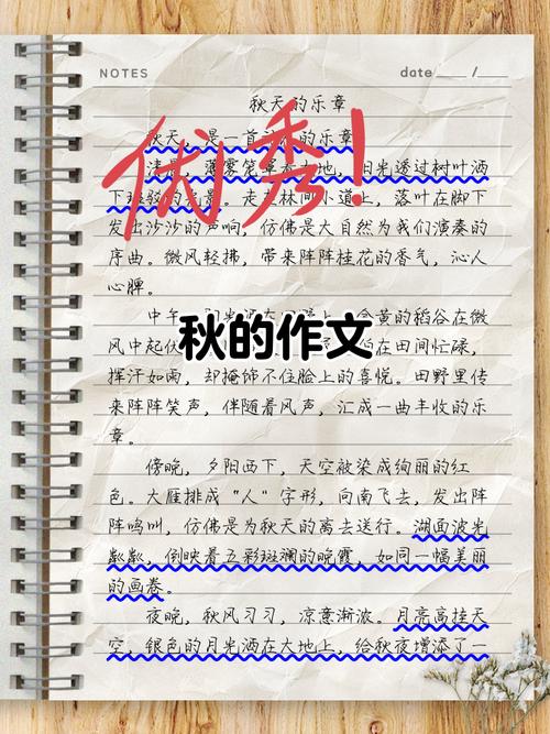描写秋天的作文800字