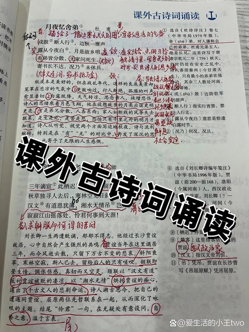 九年级古诗词人教版解析有哪些重点难点?