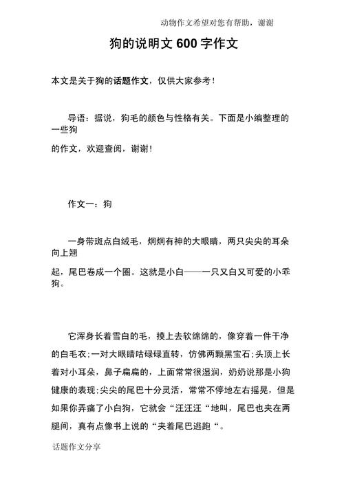 说明文作文600字动物该怎么写？