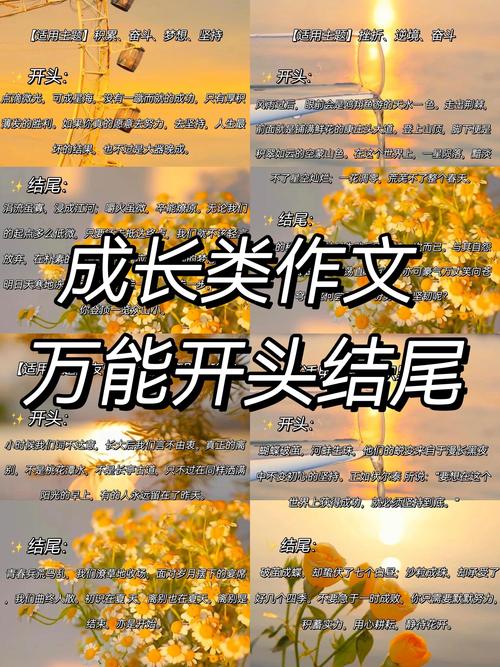 作文好开头结尾如何摘抄更出彩？