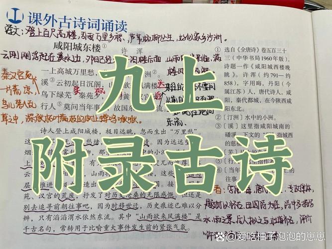 9年级上册语文课后古诗有哪些?