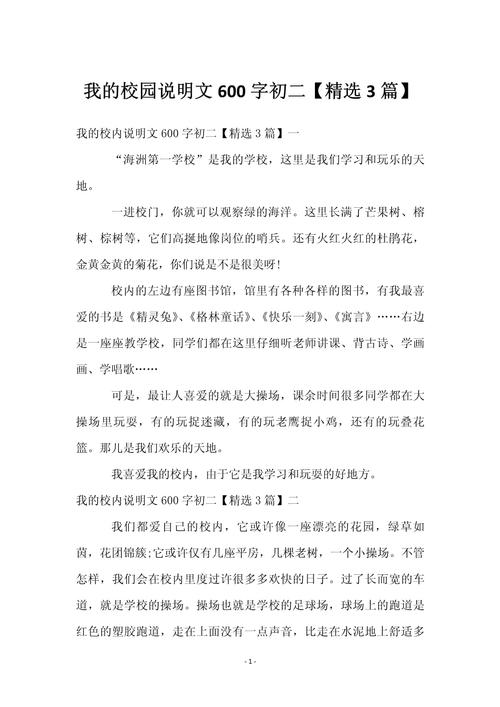 初二说明文作文600字怎么写？