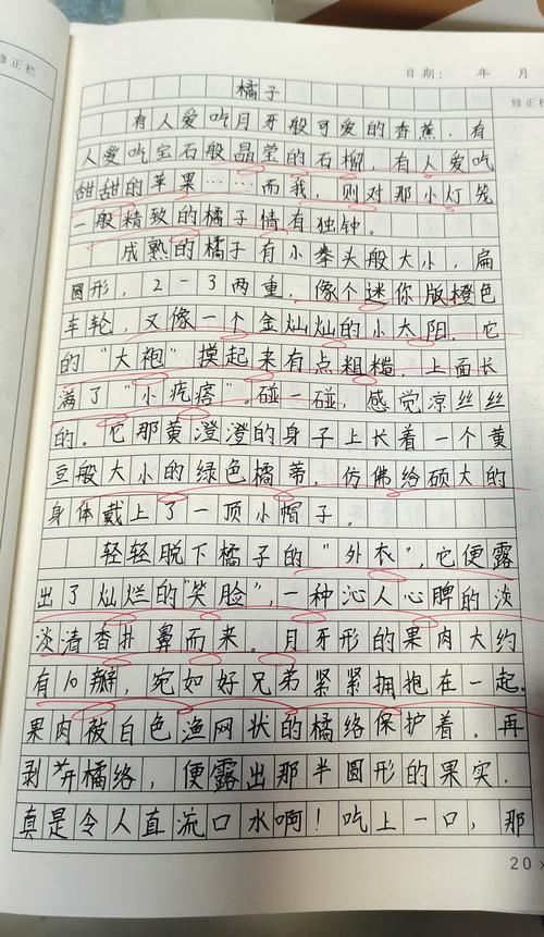 初中说明文写作如何突破600字瓶颈?