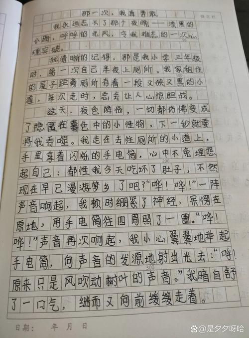 那一次,我作文里藏着什么秘密?