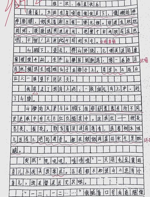 七年级上册语文期中作文写什么?