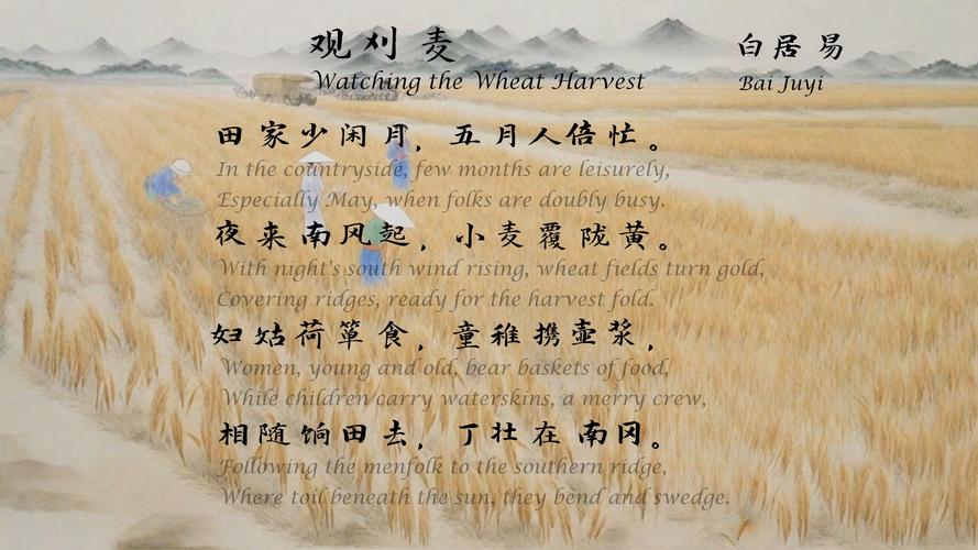 观刈麦出自哪本语文教材？