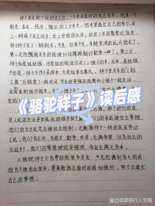 祥子为何从奋斗者沦为骆驼般的悲剧?