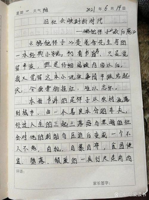 祥子为何从奋斗者沦为骆驼般的悲剧?