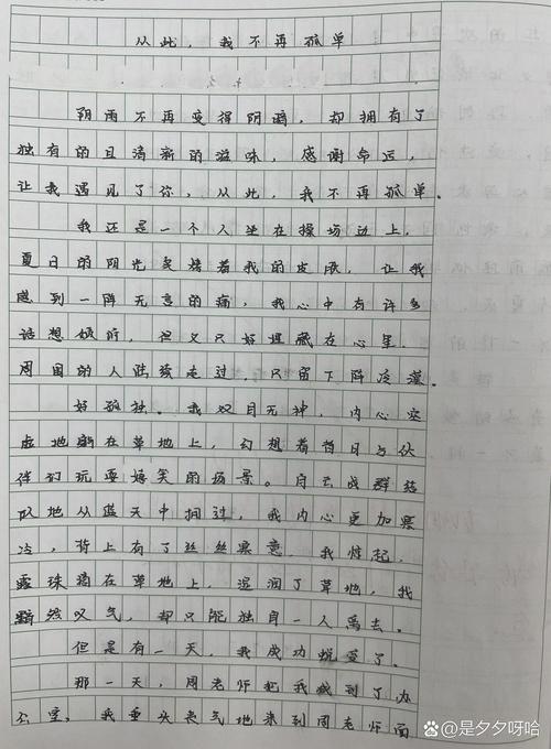 再也没有 初中作文