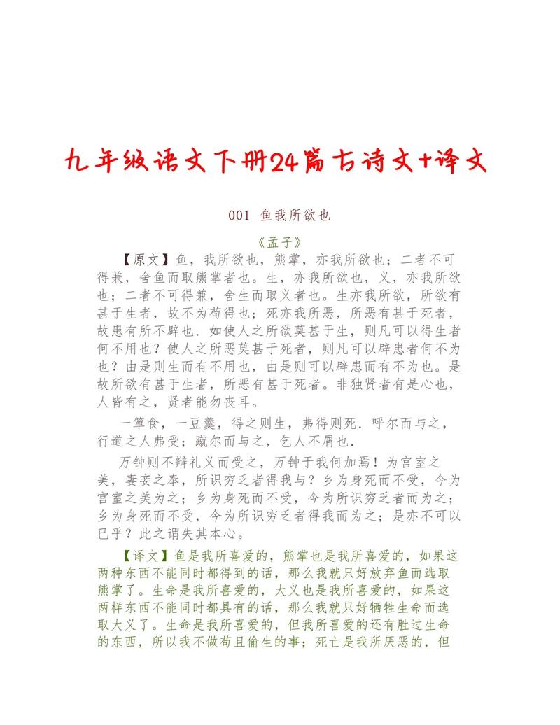 9年级古诗课后翻译，重点难点解析？