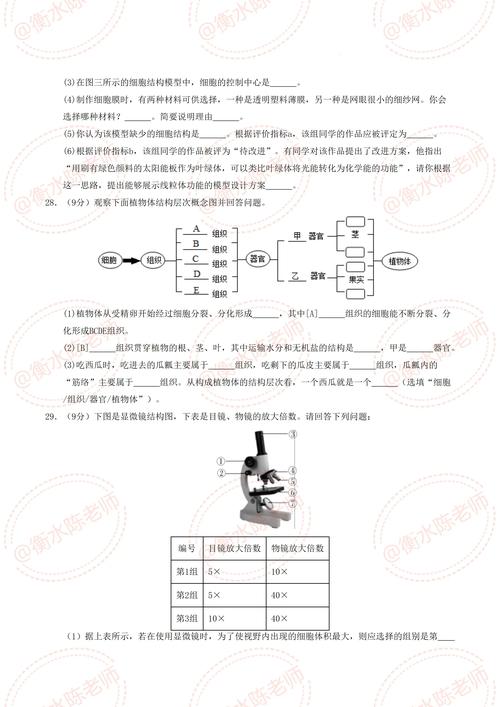 人教版七年级生物期中试卷重点难点解析？
