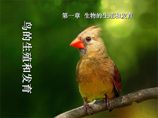 人教版八年级生物下册课件重点难点是什么？