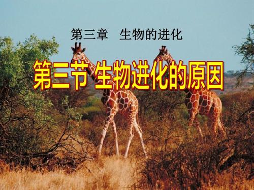 人教版八年级生物下册课件重点难点是什么？