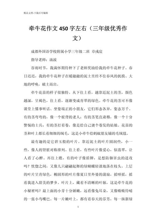 紫藤萝与牵牛花,谁更懂生命的绽放?