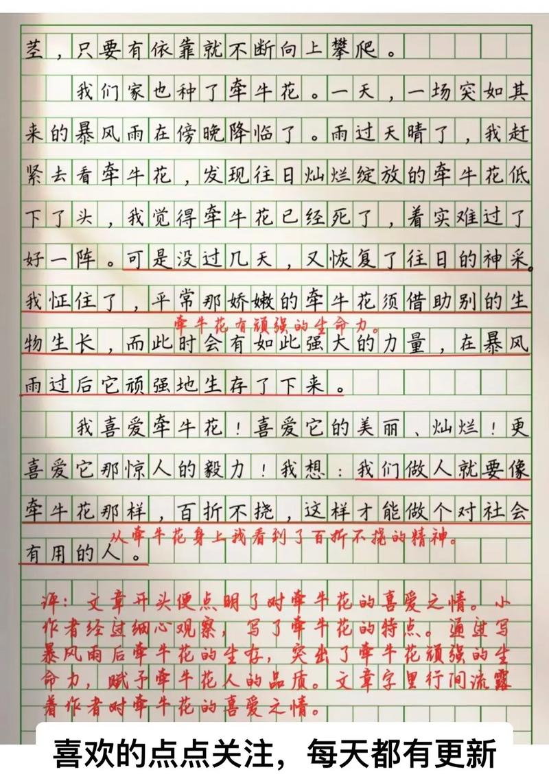 紫藤萝与牵牛花,谁更懂生命的绽放?