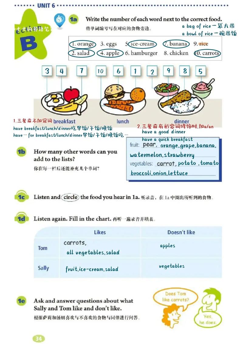 人教版七年级上册第六单元讲了什么?