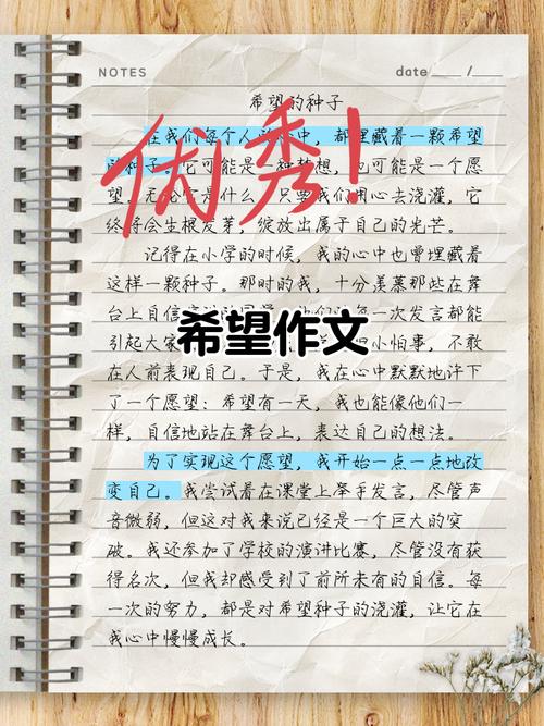 我希望背后藏着怎样的期待与故事?