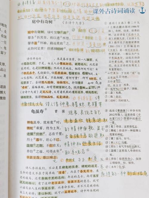 人教版八年级上册语文阅读有哪些重点?