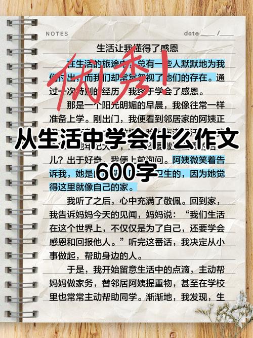 生活究竟教会了我什么?