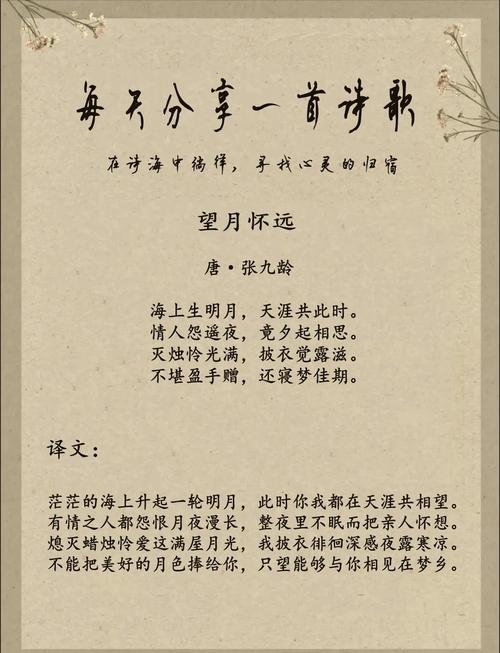 怀古诗情感一般不包含何种内容?