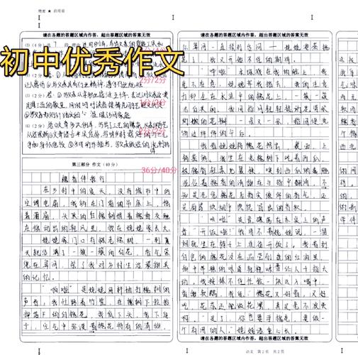 什么伴我走过成长风雨?