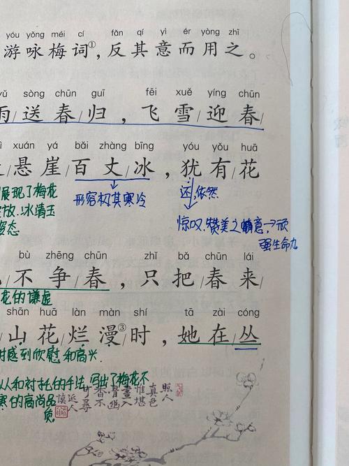 梅尧臣笔下春寒,梅如何耐寒?