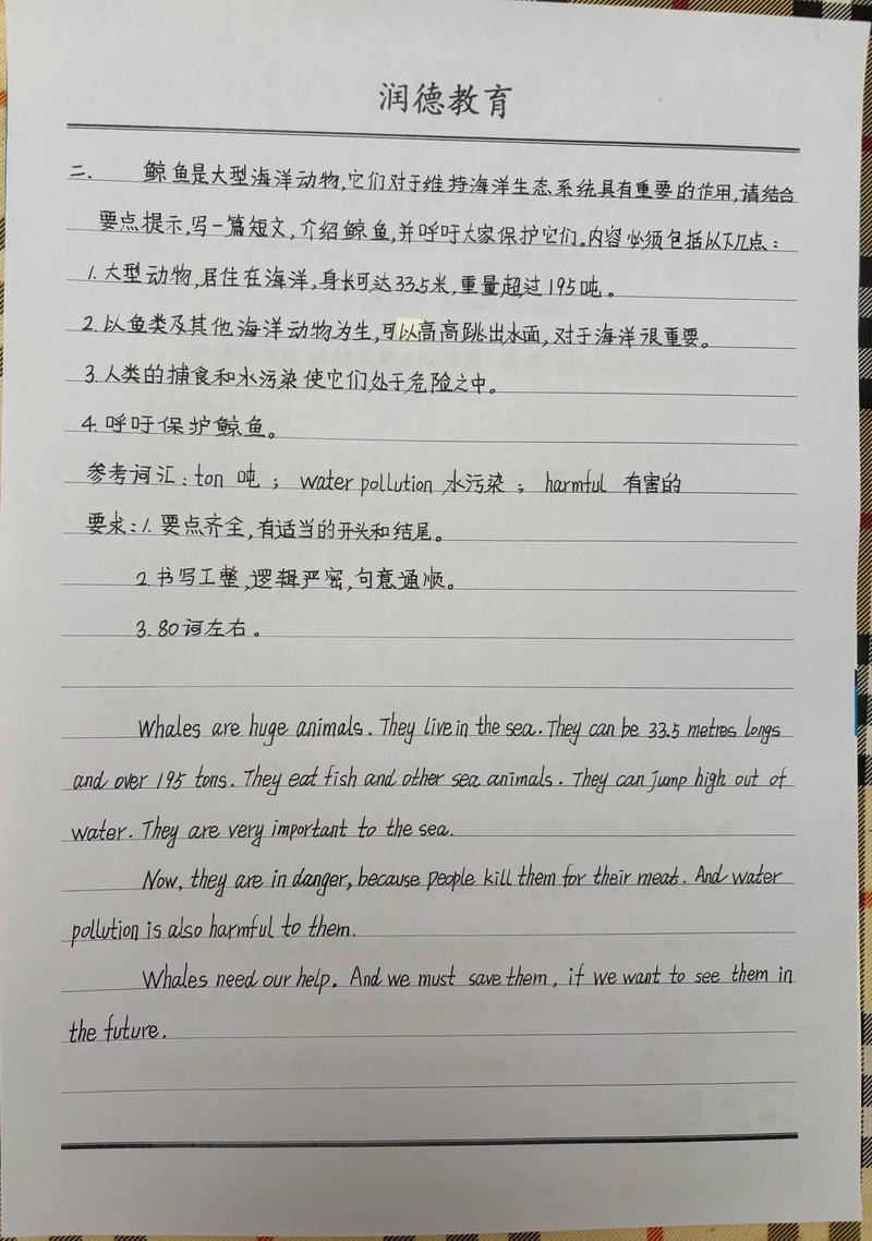 2025年,我的作文要写什么?